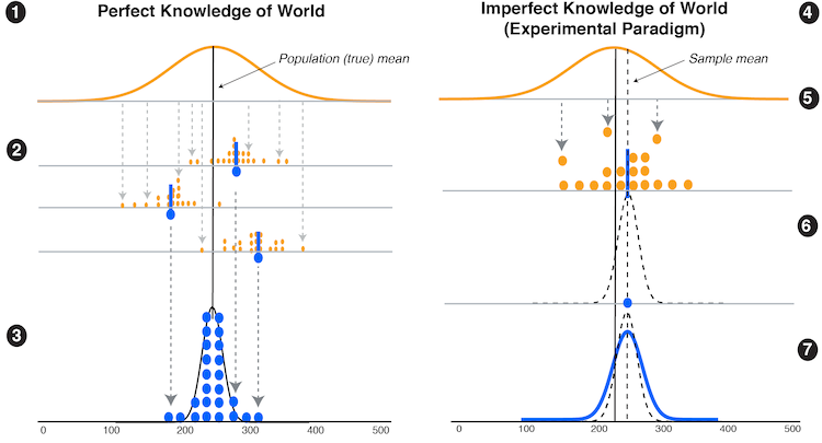 A depiction of distributions relevant to replication uncertainty, including those based on perfect knowledge of the world (left) and those derived from samples obtained in experimentation (right). Our study evaluated whether graphically predicting the true distribution one would see if an experiment were replicated many times using either discrete or continuous visualizations impacted how well participants could recall an observed sampling distribution they were shown (6) or estimate the uncertainty in the replication prediction distribution (7) for a new study.